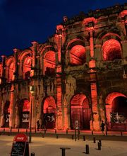 La coccinelle ZSW image 7