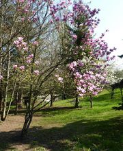 Aux Trois Sources image 7