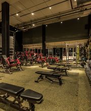 Fitness First Griesheim - Gewichte