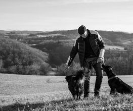 BAD DOG-Schule für Problemhunde ZH AG Bild 2