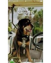 Sabin Marketing and Promotions image 19