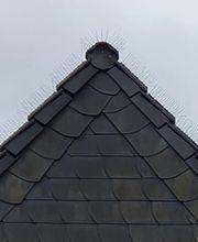 VONPRO Dach & Solar Bild 2