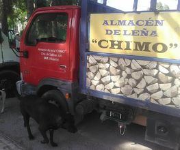 Chimo Almacén de Leña imagen 13