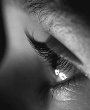 Styl'Art Photo image 8