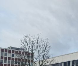 Wise Solution GmbH Bild 3