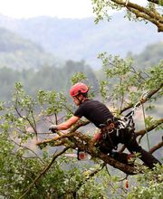 Horizon vertical image 7