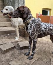 Martin Hofmann Bild 12