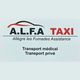A.L.F.A Taxi Allegre Les Fumades Assistance