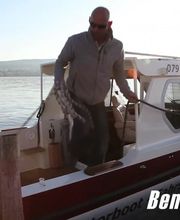 Motorboot-Fahrschule Beni Winiger | Zürichsee Bild 2