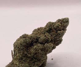 Green Budd CBD Pontchâteau image 9