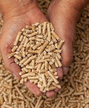 GED Energies image 3