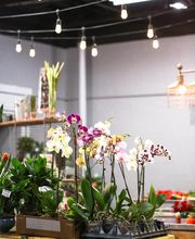 In Bloom Florist image 1