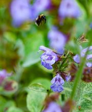 Steiner Garten-, Landschaftsbau GmbH Bild 1