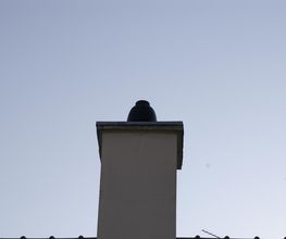 Solatec image 1