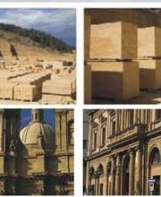 Gallery Professionale