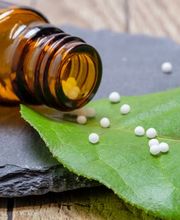 Pelikan Apotheke Bild 2