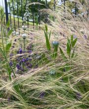 zehnder-garten GmbH Bild 10