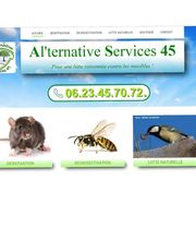Al'ternative Services 45 image 10