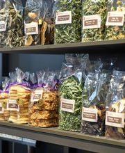 Heilsarmee Buchseegut Bild 7