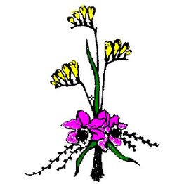 Blumen Wünsche