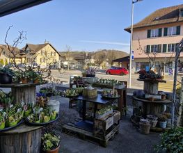 s'Bluemelädeli Schmid GmbH Bild 5