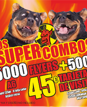 El Demonio Rojo . PRINTING DELUXE, S.L. imagen 10