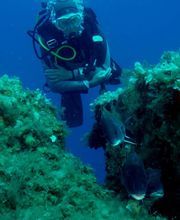 Divin' Giens image 17