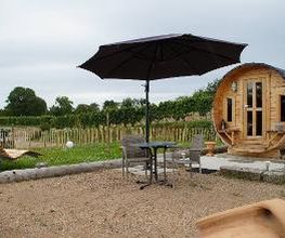 Privatweingut Schmidt Bild 3