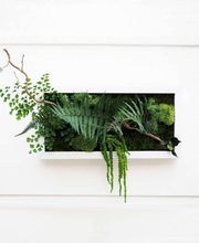 DECO-VEGETALE image 8