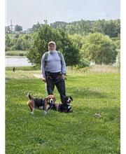 Wuff-Ontour Hundetraining & Gassi-Service Bild 8