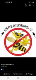 Guêpes Intervention
