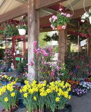 Hospenthal - Kägi AG Bild 2