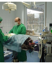 Wingeß Thomas Dr. Bild 4