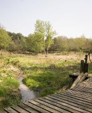 Hotel am Waldbad Bild 15