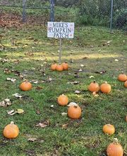 Shrewsbury Children's Center image 17