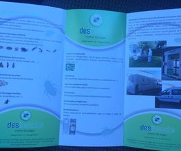 desinsect-04.jpg