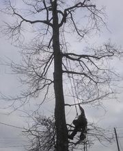 Vert Pro Tech image 4