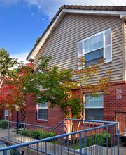 Murray Woods Apartments image 2