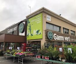 GAMM VERT image 9