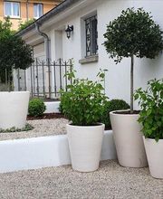 Verdalis - Techniques Paysage image 6