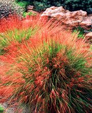 DULLA PARCS ET JARDINS SA Bild 2