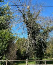 Action 3D Nuisibles image 9