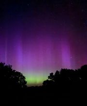 Reethaus Svantevit - Ferienhaus Bild 1