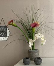 Institut Azur Bild 6