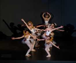 Ballett Tanz in Essen - Tanz im Hof Pavlina Cerna | Tanzschule in Essen