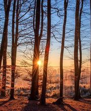 Evasion Aménagement image 2