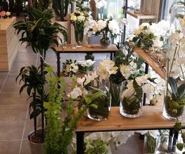 Fleurs Design image 12