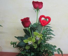centro-rosas-04.jpg
