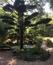 Granger Stéphane image 7