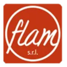 Flam Shop logo